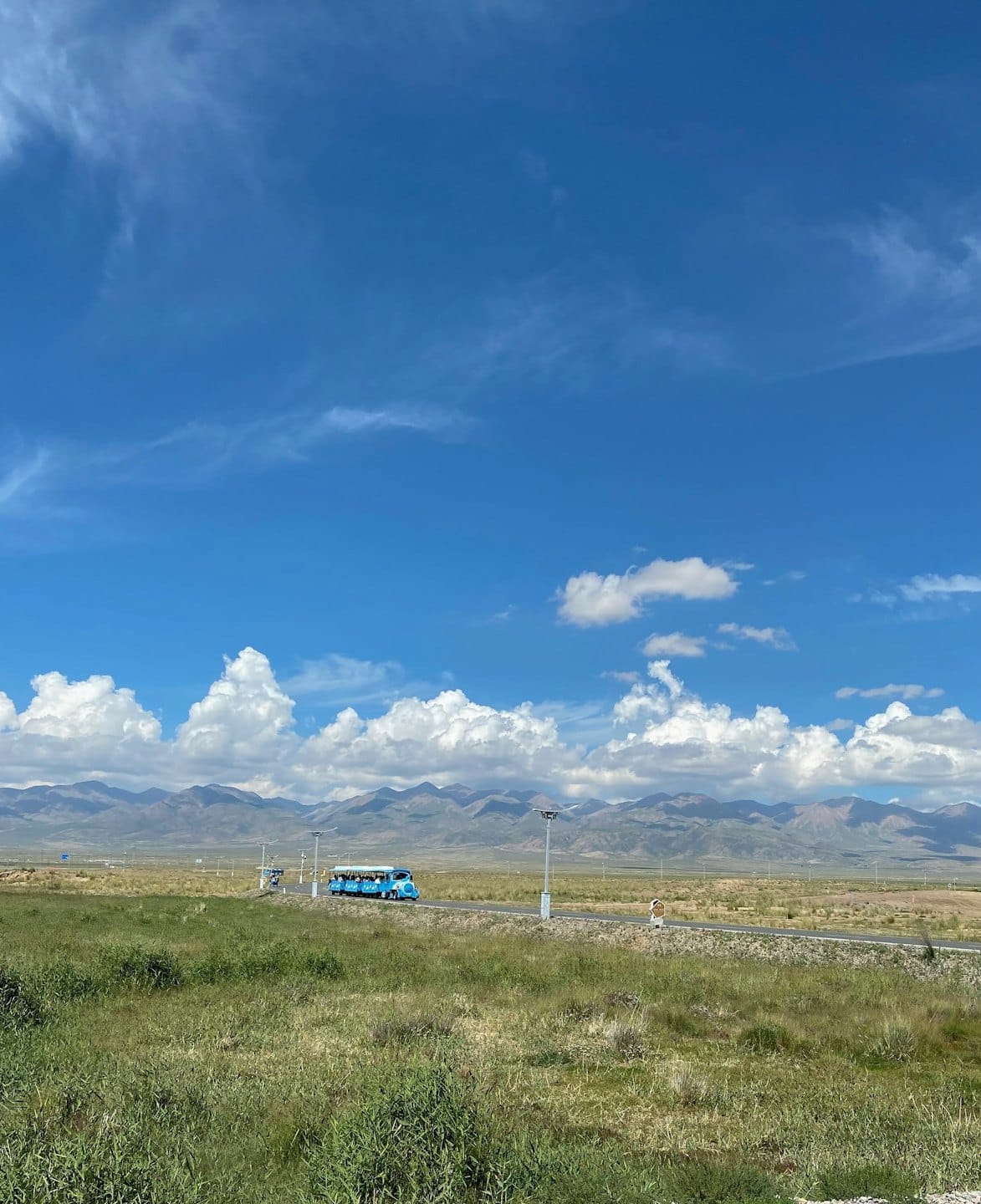 Un bus turistico blu brillante che attraversa una pianura erbosa.