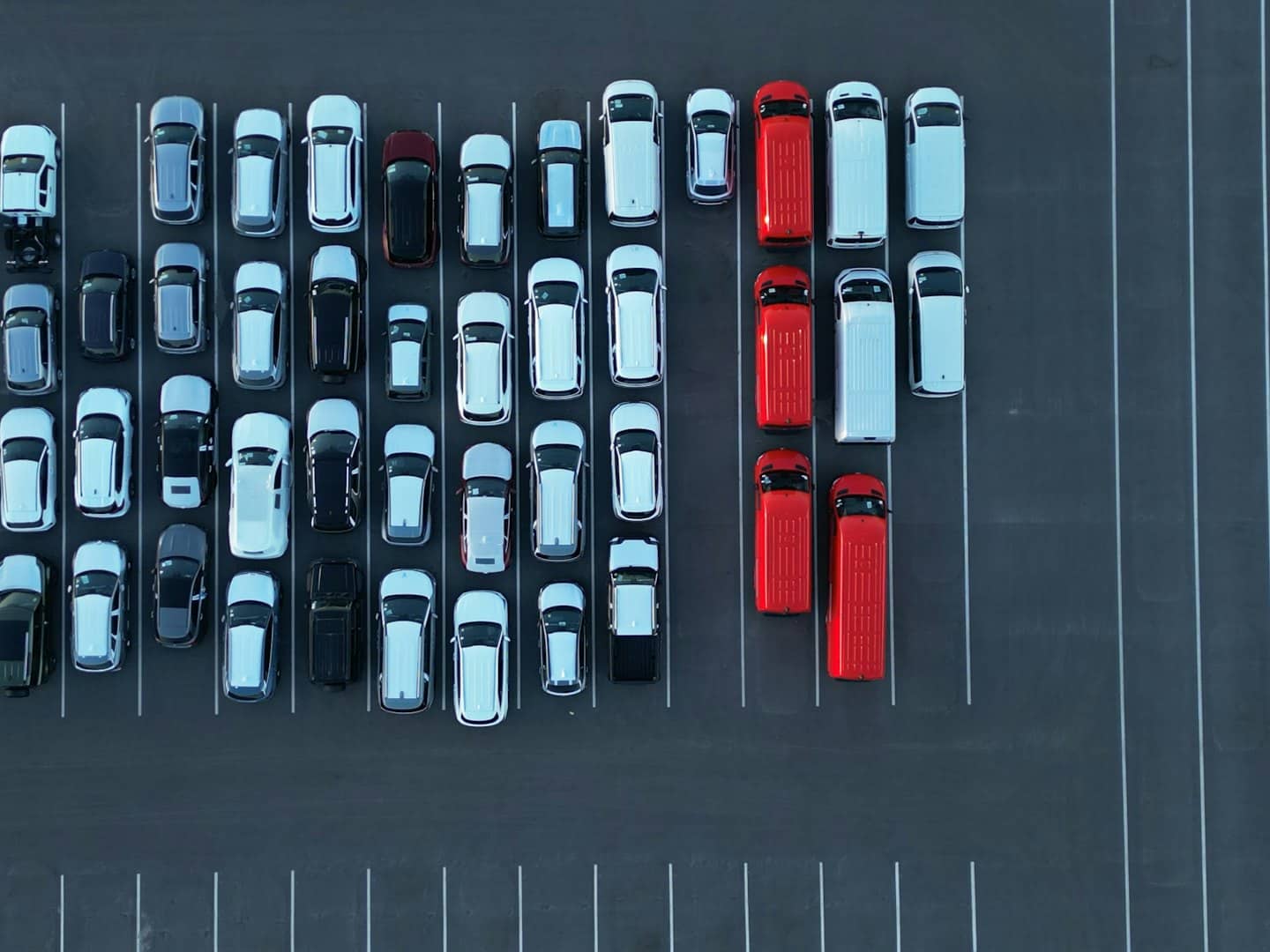 File di furgoni bianchi, grigi, neri e rossi parcheggiati sull'asfalto.